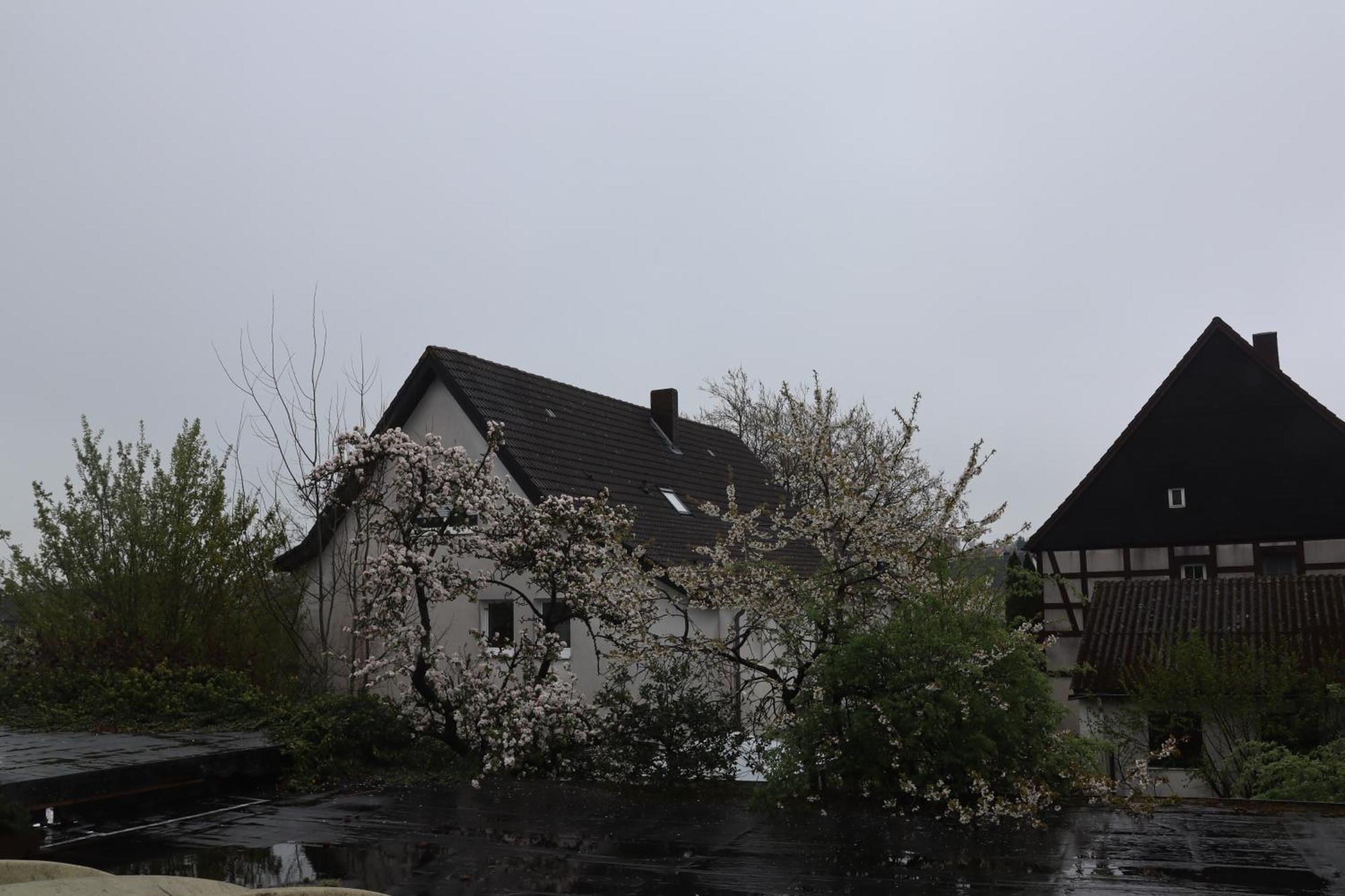 Hotel Haarener Hof Bad Wünnenberg Eksteriør bilde